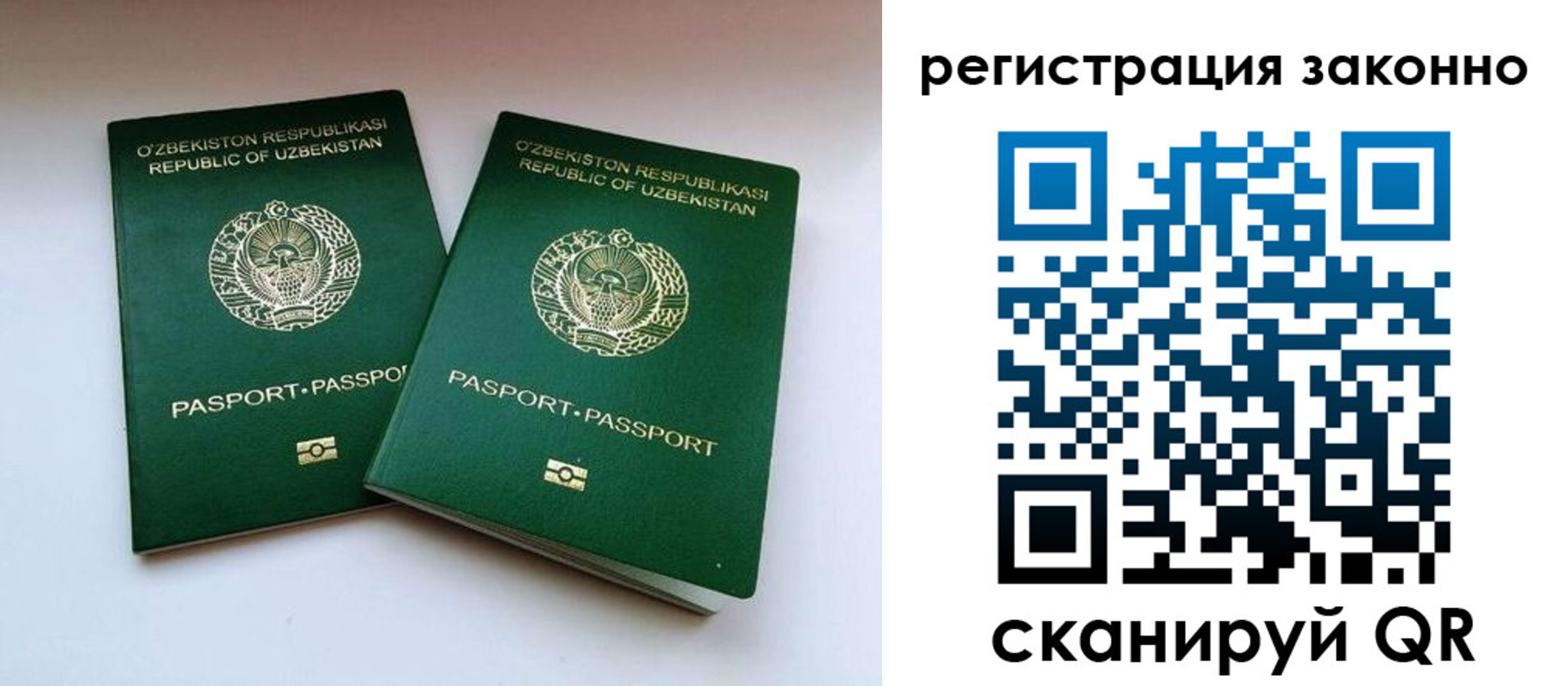 прописка гарантия в Волхове